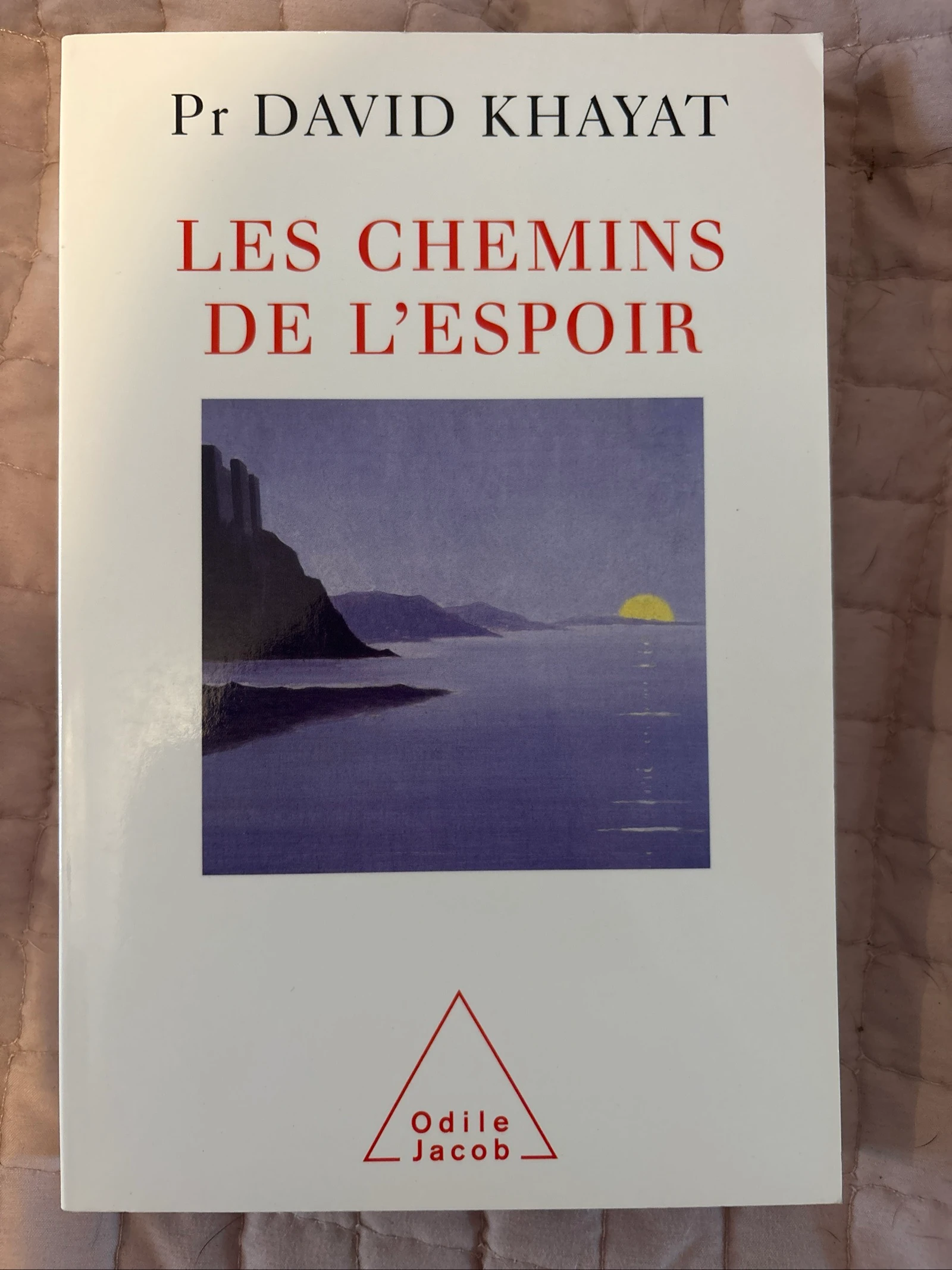 Les chemins de l’espoir - livre 